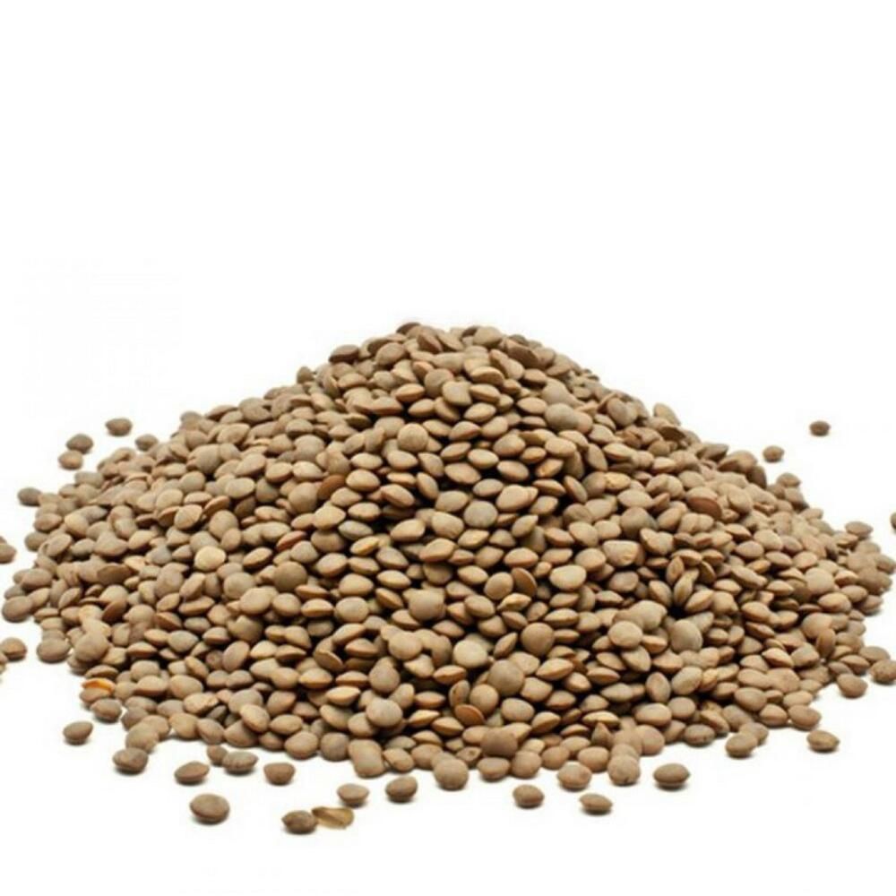 Φακές Φενεού